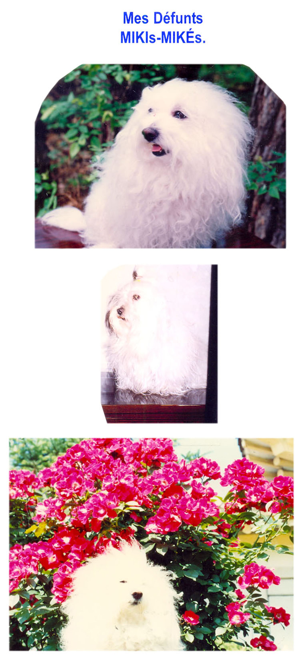 All/document/Documents/Divers/Divers/id1613/photo001.jpg