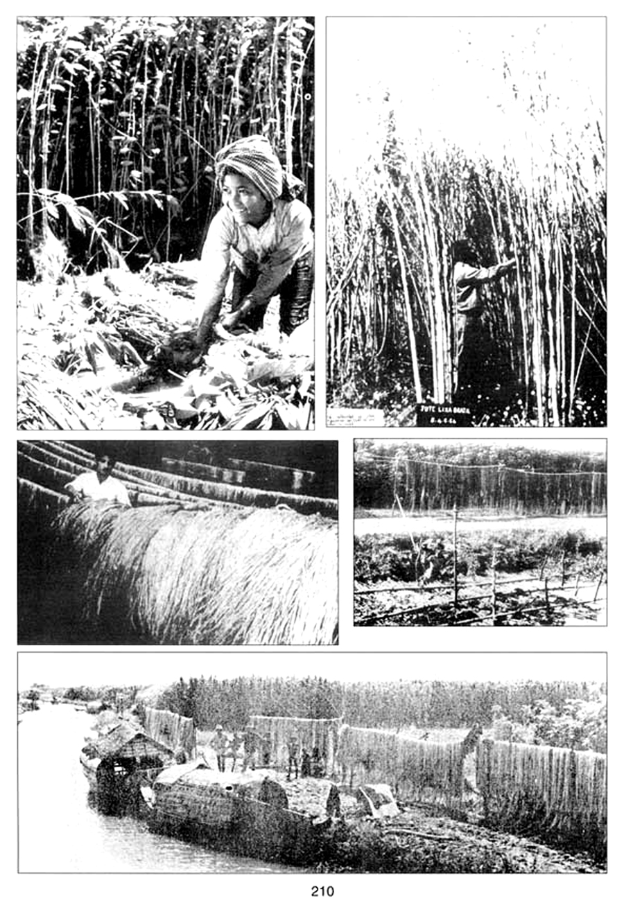 All/history/Histoire/SangkumReastrNiyum/SangkumReastrNiyum/id1898/photo003.jpg