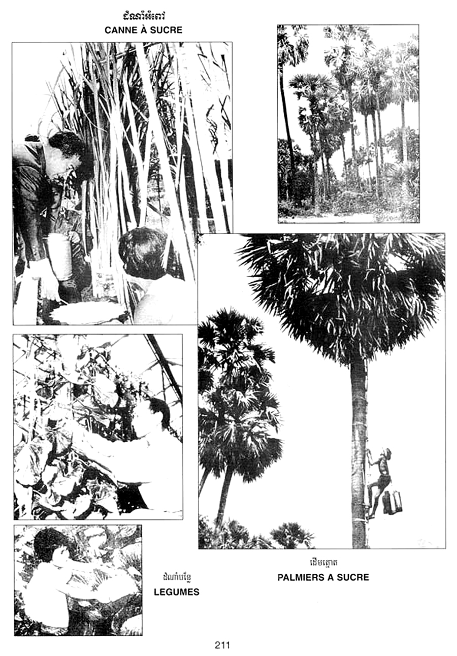 All/history/Histoire/SangkumReastrNiyum/SangkumReastrNiyum/id1898/photo004.jpg