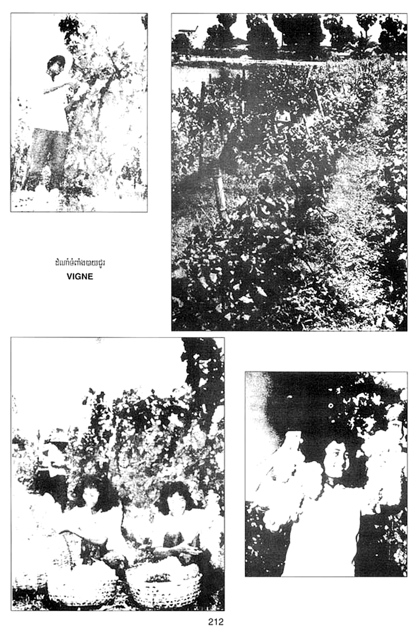 All/history/Histoire/SangkumReastrNiyum/SangkumReastrNiyum/id1898/photo005.jpg